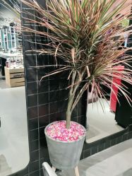 -HairCode芭曲发型