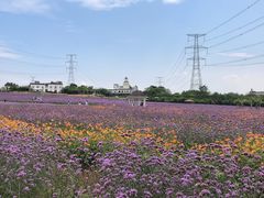 -紫颐香薰山谷景区