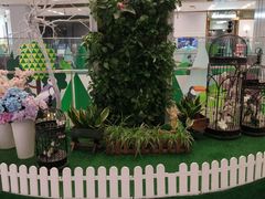 -凯德广场(武胜路店)