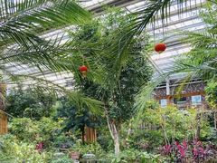 -南宫五洲植物乐园