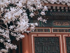 -颐和园