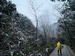 -西岭雪山大飞水景区