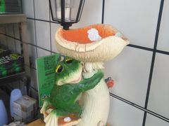 -型男美蛙烤牛蛙(南长街店)