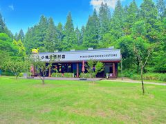 -黄海国家森林公园