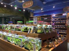 -龟与熊猫宠物公园(南坪店)