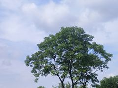 -盘龙城遗址博物院