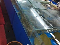 -四道口水产市场