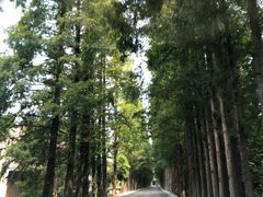 -崇州九龙峡漂流