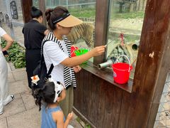 -横道河子东北虎林园