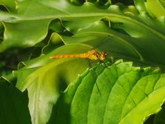 -熙古里艺术村