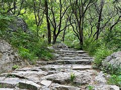 -阳台山自然风景区