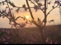 -常德桃花源景区