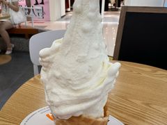 -野人先生Gelato(上海长宁龙之梦店)