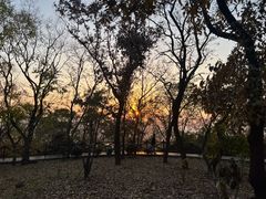 -南京市江宁方山