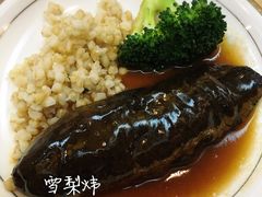 -汕头金乐大酒店