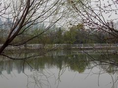 -卫鼎轩·家宴(水上公园店)