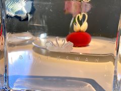 -BLACKSWAN黑天鹅(环球店)