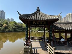 -龙头寺公园