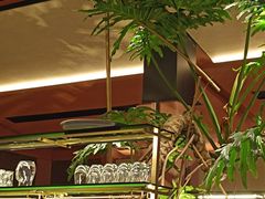 -初蓉丨遇见新川菜(亲贤街荣耀店)