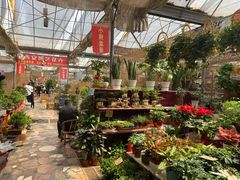 -秦美花卉(天朗·莱茵小城2期店)