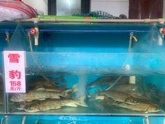 水产区-高坎一品甲鱼庄(两河店)