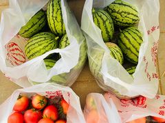 -庞各庄翠芳园西瓜蔬菜基地采摘园