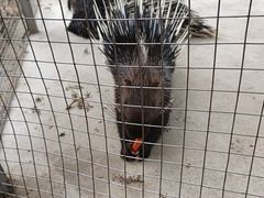 -武汉紫薇都市田园