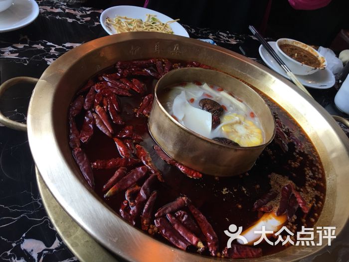 重庆耙耳朵火锅-图片-上海美食-大众点评网