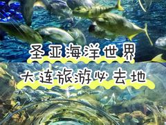 -大连圣亚海洋世界