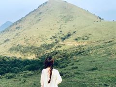 -大姆山草场
