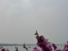 -颐和园