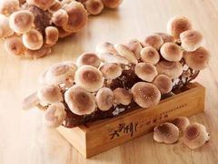 菌棒香菇-大头椰·椰子鸡火锅(南宁万象城店)