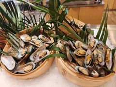 -北京王府井希尔顿酒店·万斯阁西餐厅