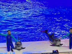 -波塞冬旅游度假区