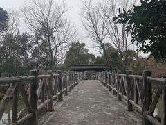 -南汇桃花村