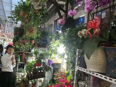 -万商花鸟市场
