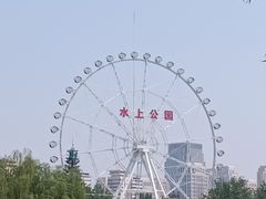 -天津水上公园