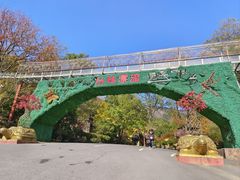 -木兰云雾山