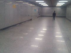 -杨高南路(地铁站)