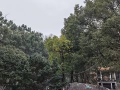 -赭山公园