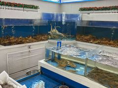 -北塘海鲜·天津菜·鲅鱼水饺是一绝(大光明桥旗舰店)