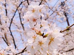 -西北湖绿化广场