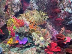 -太平洋海底世界