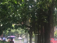 -广东外语外贸大学(白云山校区)