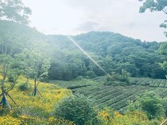 -南京市江宁方山
