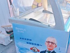 -维尔纳斯·生日蛋糕动物奶油冰淇淋蛋糕(人大店)