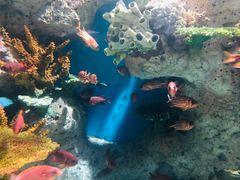 -福州罗源湾海洋世界旅游区