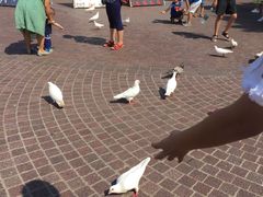 -东部华侨城