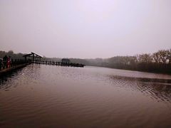 -溱湖国家湿地公园