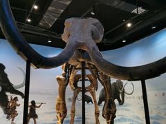 -辽宁古生物博物馆